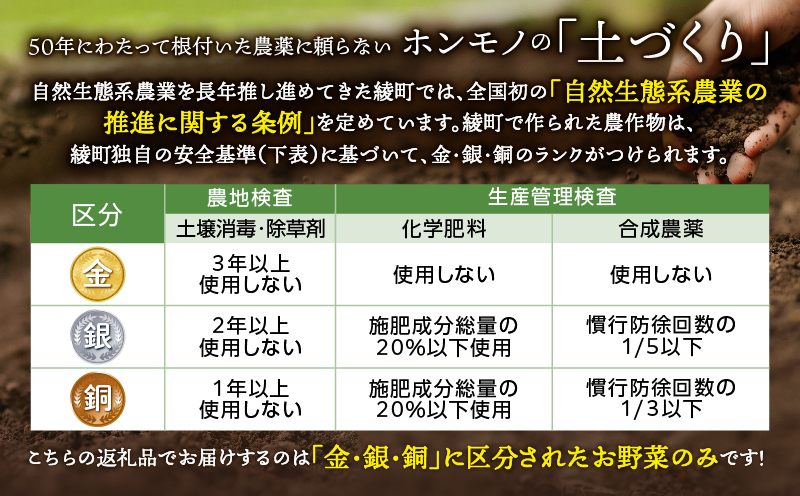 日時指定可能！本日のお野菜セット（サイズ中）【全６回定期便】
