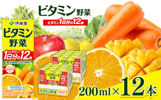 ビタミン野菜 紙パック ( 200ml × 12本 ) 伊藤園   | 野菜 フルーツ ジュース ドリンク 飲料 健康 食品 砂糖 食塩 不使用 長期常温可能 長野県 松本市 ふるさと納税