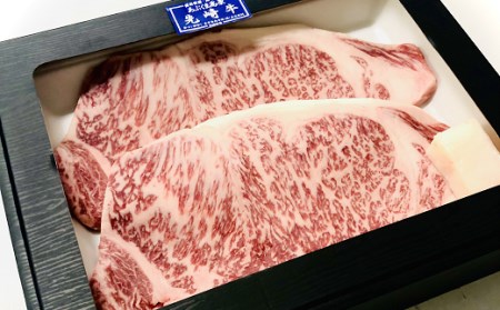肉 黒毛和牛 先崎牛 サーロインステーキ 200g×2枚 福島県 田村市