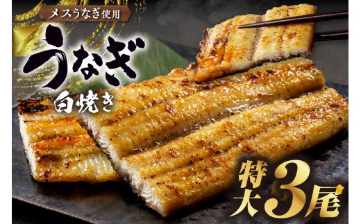 三河高浜産三代目養鰻家の白焼きうなぎ 特大3尾（525ｇ以上）