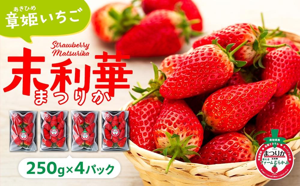 
                  章姫(あきひめ)いちご 4P(250g×4) 「末利華(まつりか)」【苺 イチゴ 果物 くだもの フルーツ 旬 人気 おすすめ 鳥取県 琴浦町 送料無料】
                