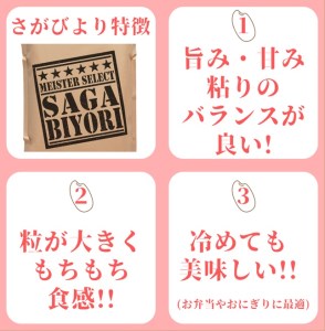 CID69_【みやきなでしこ】応援米【６回定期便】【無洗米】さがびより６kg（３kg×２袋） 【五つ星お米マイスター厳選！】