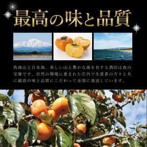 SB0476　酒田の果物専門店厳選　庄内柿(種なし柿)　約5kg(26玉入) 【贈答用仕様】