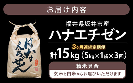 定期便 ≪3ヶ月連続お届け≫ 【令和8年産】坂井市産 ハナエチゼン 5kg × 3回 (計15kg) 【玄米】 米 コメ お米 華越前 [B-10204_02]