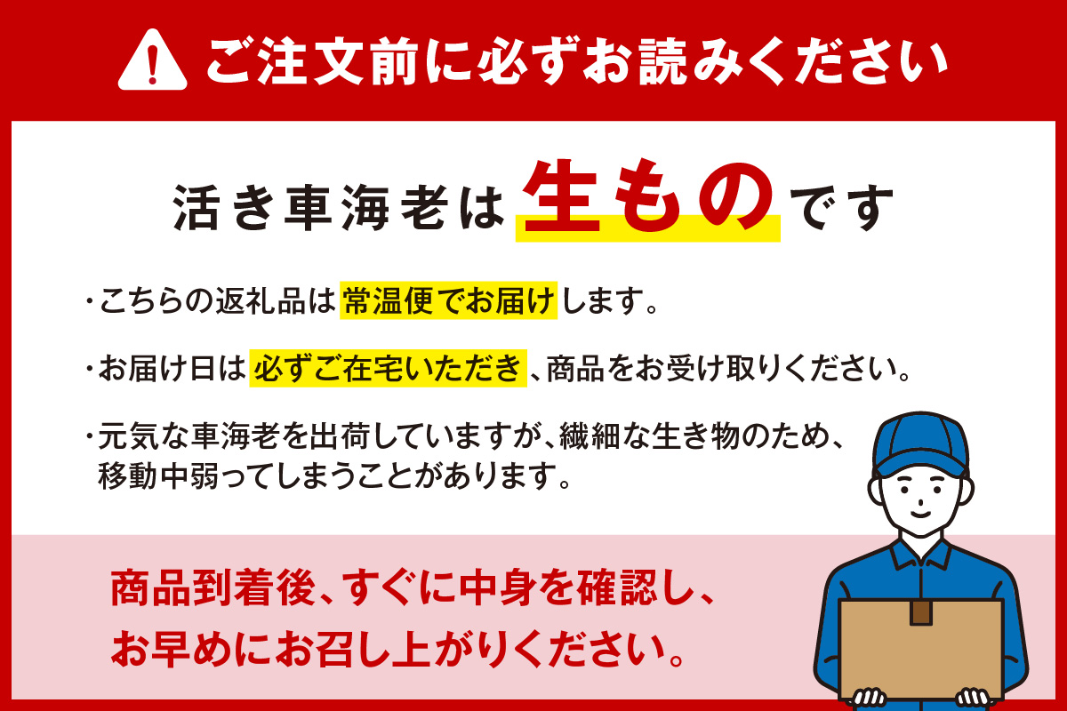 活車海老 375g 指定日可能【数量限定 先行予約】（12月1日から配送開始） 010-C165