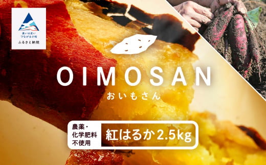 【先行予約】【農薬・化学肥料不使用】ねっとり甘~い おいもさん（紅はるか） 2.5kg    ey001n00