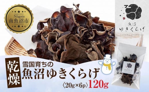 
国産 乾燥 きくらげ 20g×6パック 計120g 小分け 栄養豊富 無農薬 無添加 オーガニック 自家栽培 雪国 魚沼ゆきくらげ キクラゲ 木耳 きのこ キノコ ビタミンＤ 肉厚 健康 食品 食物繊維 佃煮 歯ごたえ 菌床 食感 高品質 送料無料 新潟県 南魚沼市
