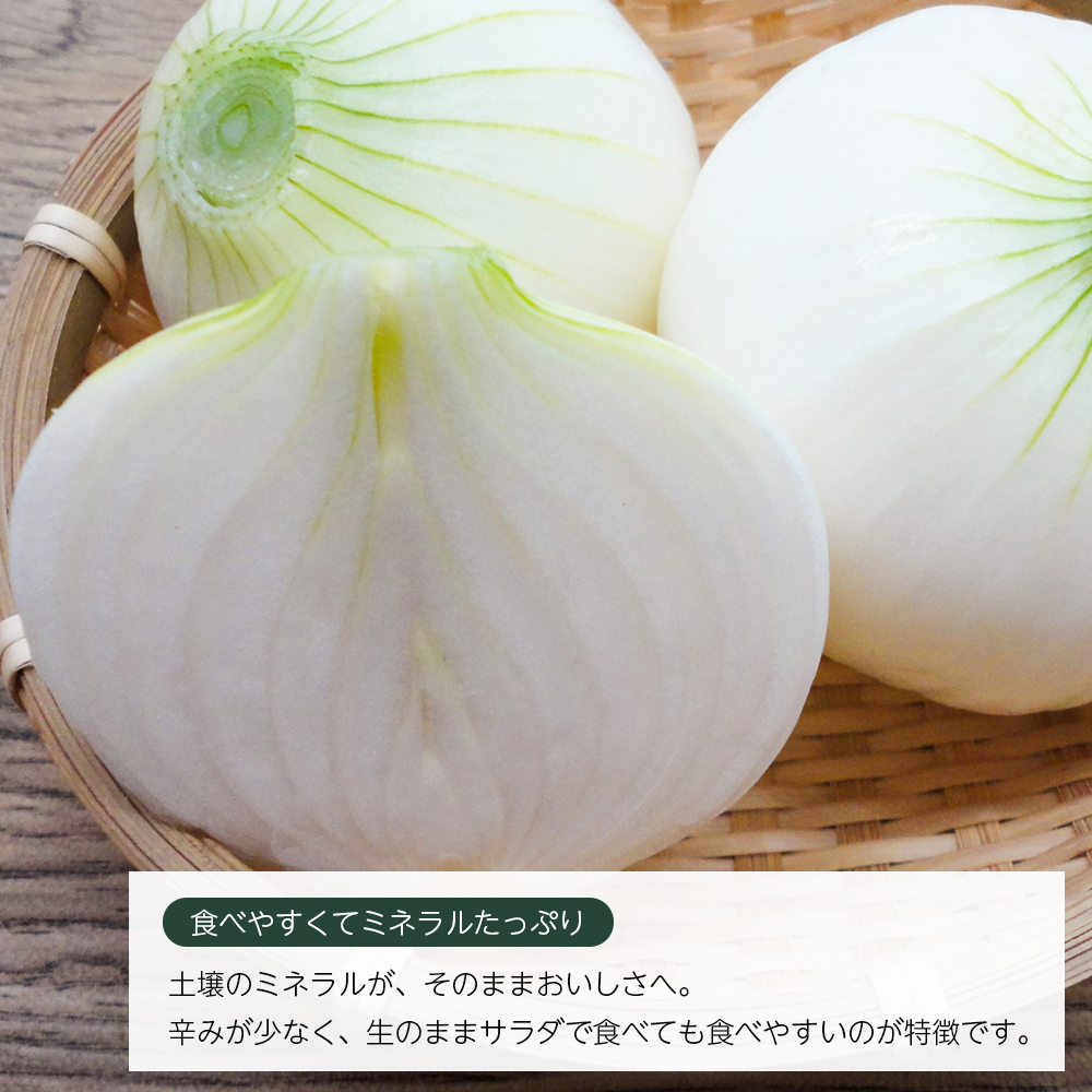 【新たまねぎ】いざなぎ農園の淡路島たまねぎ 5kg【発送時