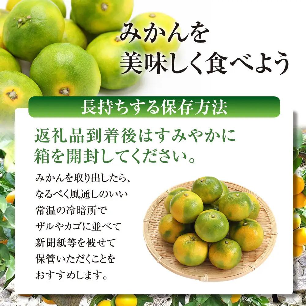 有田みかん専門店 有田の太陽®ファミリー 極早生 有田みかん 2.5kg＋補償分100g 山採れ・サイズ・等級 混合