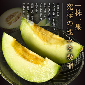 【先行予約】養液栽培メロン「璻」1玉【Standard】（重さ1.3㎏以上）｜メロン めろん フルーツ 常滑市