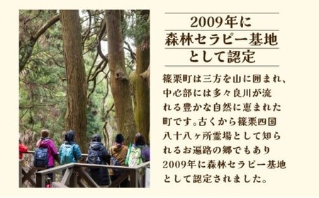 森林セラピー＆スワッグ（苔玉）づくり体験2名様 FZ006 | 森林 セラピー ハイキング 自然 体験 森 観光 四国八十八ヶ所霊場 お遍路 健康 手作り体験 ワークショップ 篠栗町