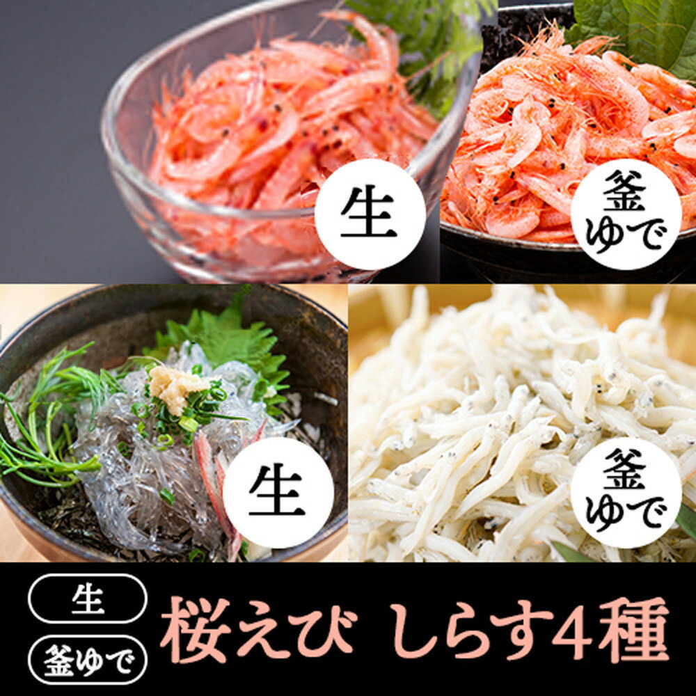 【ふるさと納税】桜えび2種、しらす2種セット【配送不可：離島】