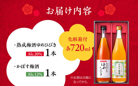 梅酒蔵おおやま 梅酒セット(梅酒・かぼす梅酒) 各720ml /梅酒 梅酒 梅酒 梅酒 梅酒 梅酒 / 日田市 / 株式会社おおやま夢工房[ARCW013]