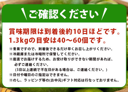 《2025年7月以降順次発送》【先行予約】こだわりの青切りシークワーサー 1.3kg 約40〜60個 【 産地直送 沖縄 石垣島 石垣 八重山 シークワーサー 柑橘 フルーツ くだもの 果物 】TF-
