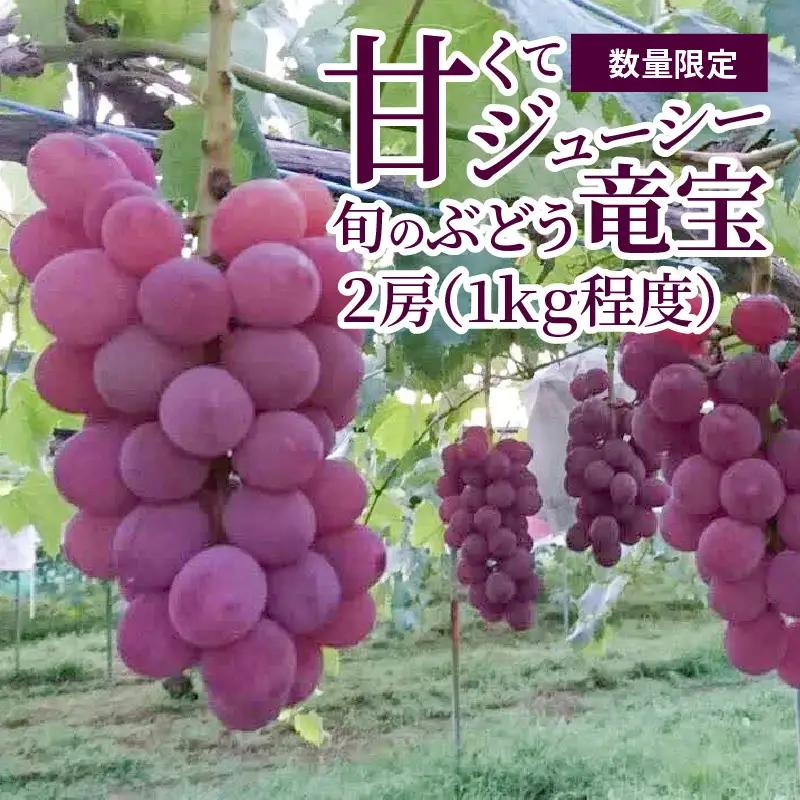 【2027年先行予約】甘くてジューシー産直　旬のぶどう竜宝　2房 （約1.0kg）フルーツ 葡萄  産直 DL-0003