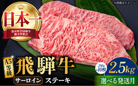 【2月発送】【飛騨牛】 A5等級 サーロイン ステーキ用 10枚 (計2.5kg) 和牛 ブランド牛 国産 牛肉 多治見市 / 渡辺精肉店 [TAZ003-2]