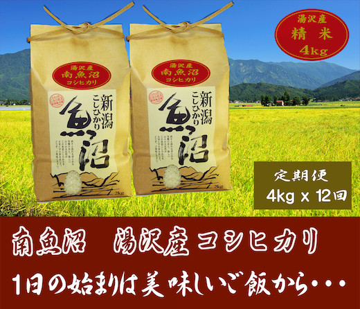 
【12ヶ月定期便】令和6年産【湯沢産コシヒカリ】＜精米＞（白米）4kg（2kg×2袋）精米したてのお米をお届け
