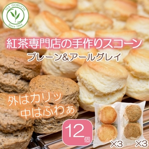 紅茶専門店ティー・イソブチカンパニー 手作りスコーン ２種セット（プレーン＆アールグレイ）スコーンスコーンスコーンスコーンスコーン