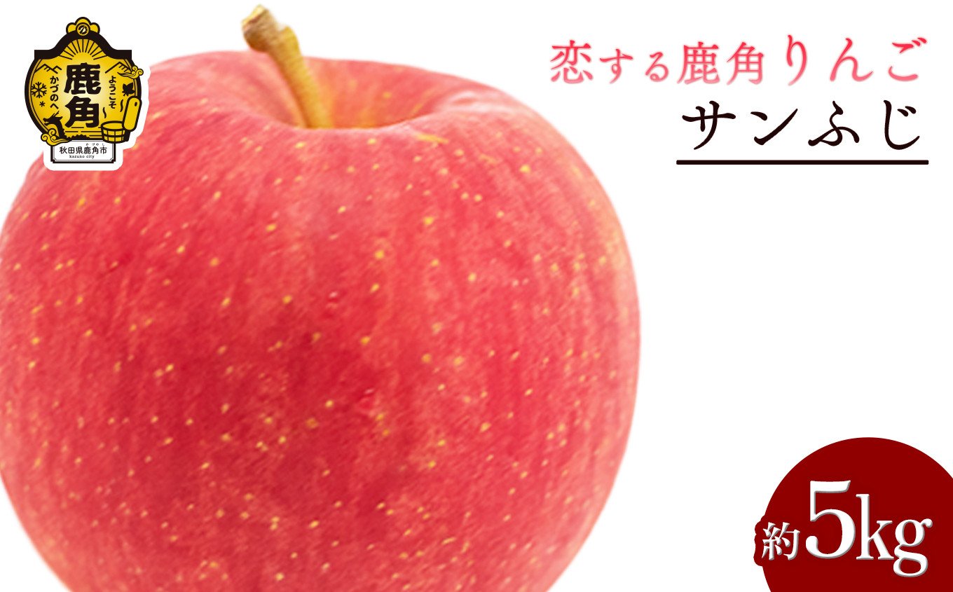 
            令和7年産 秋田県鹿角産りんご「サンふじ」約 5kg【恋する鹿角カンパニー】 ●12/21までの申し込みで年内配送可能 かづのりんご 食感 果汁 さっぱり リンゴ 完熟 旬 県産りんご 林檎 お中元 お歳暮 贈り物 お見舞い グルメ ギフト 故郷 秋田 あきた 鹿角市 鹿角 送料無料 
          