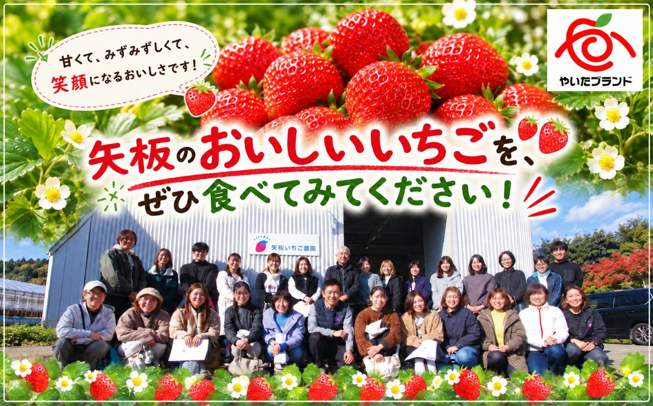 【定期便3回】栃木のいちご！元祖 「とちおとめ」 1,120g (280g×4P)| 澳原いちご農園 栃木県 矢板市