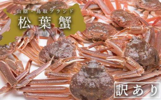 
            【活き】訳あり松葉ガニ　大　2枚(800～940g前後/枚)
          