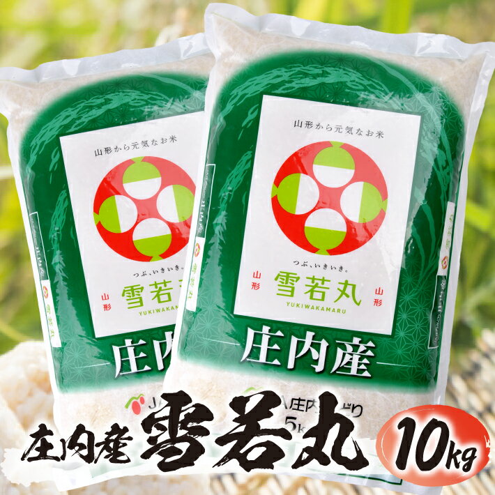 【ふるさと納税】雪若丸 5kg×2袋 計10kg 令和7年産米 山形県庄内産 ご希望の時期頃お届け 東北 酒田市 庄内地方 庄内平野 お米 精米 白米 ブランド米 庄内米 ごはん ご飯 農協 JA 産地直送 発送時期が選べる