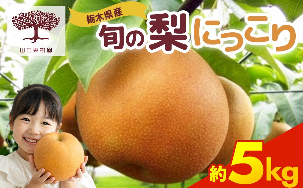 
                  【先行予約】栃木の梨 にっこり 5kg | 梨 秋の味覚 果物 くだもの フルーツ ※2026年10月～発送
                