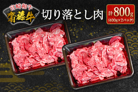 齋藤牛 切り落とし肉（400g×2P）計800g【B548】