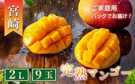 完熟マンゴー ２L×９玉（パック）【濃厚 宮崎 高級 果物 フルーツ 贈答 ギフト 甘い 送料無料 先行受付】