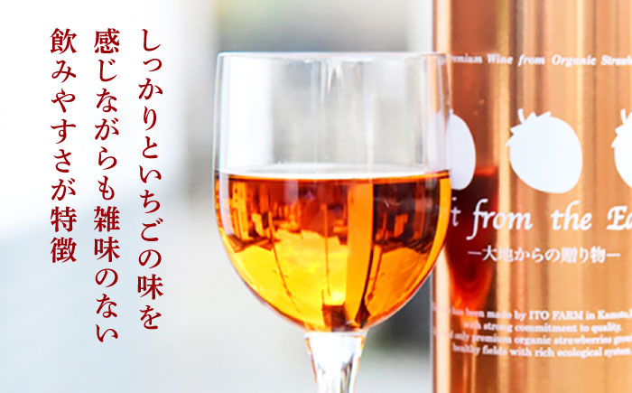 【数量限定】高級 いちご 100％ワイン Giftfromthe Earth -大地からの贈り物- オーガニック【伊藤農園】 お酒 ワイン オーガニックワイン 酒  [ZBB004]
