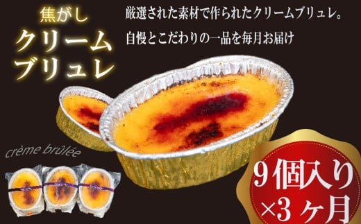 ３ヶ月 定期便 濃厚 焦がしクリームブリュレ 9個 冷凍 アイス プリン カタラーナ スイーツ デザート 卵 お菓子 洋菓子 焼き菓子 氷菓子 ギフト おやつ キャラメル ミルク個 牛乳 生クリーム 