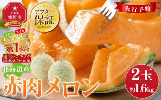【先行予約】 北海道産赤肉メロン約1.6kg×2玉 (2024年7月中旬から発送予定) 【 果物 くだもの フルーツ 】