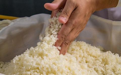 【塩こうじ・甘酒などに】北海道産米のやわらかな生こうじ」500g×5袋