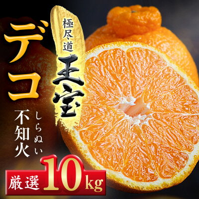 【ふるさと納税】【愛媛名産】玉宝デコ(不知火)　10kg【F64-51】_ みかん 不知火 しらぬい 蜜柑 ミカン 愛媛 柑橘 かんきつ 愛媛みかん 果物 くだもの フルーツ 果実 青果 デザート おいしい 10kg 1箱 産直 産地直送 愛媛県 国産 送料無料 【1511377】