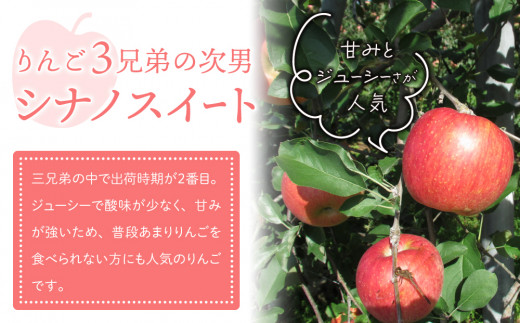 りんご「シナノスイート」3kg 長野県オリジナル品種｜JA信州うえだ東部地区営農課 東御市産  ※10月中旬～11月上旬頃お届け予定