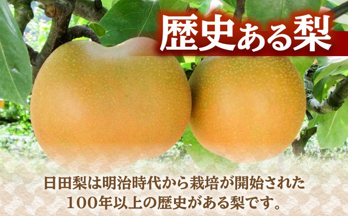 なし 梨 日田 和梨 果物 くだもの 果汁 フルーツ デザート 旬 あきづき