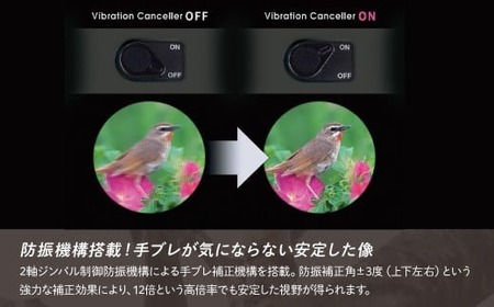 防振双眼鏡 ビクセン アテラ ATERAII H12x30 チャコール | 双眼鏡 双眼鏡 双眼鏡 双眼鏡 双眼鏡 vixen