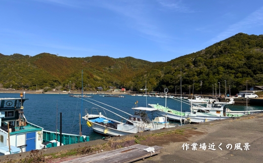 海と森の恵みを結ぶ天然クラフト塩「美波御塩」〜自然循環型・薪火平釜製法〜徳島県 美波町 四国 海塩 天然塩 クラフト塩 粗塩 調味料 無添加 ミネラル 平釜 薪火 地下海水 ウミガメ ネイチャーポジテ