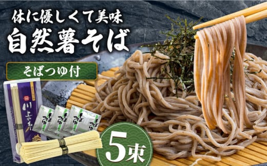 【年内発送】年越しそば 手延べ 自然薯そば 250g（2～3人前）蕎麦つゆセット / 蕎麦 ソバ そば 乾麺 蕎麦年越し 年越しそば 年末発送 麺 自然薯 2000円 2000 / 南島原市 / 川上製麺 [SCM020]