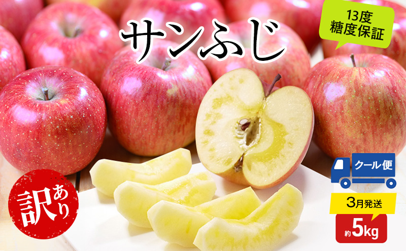 りんご 【3月クール便発送】 平均糖度13度以上 訳あり品 家庭用 サンふじ 約 5kg 【 青森りんご 】 フルーツ 果物 リンゴ 青森県 デザート ジューシー