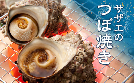 （冷蔵）地物　活きサザエAコース　1kg（8～12ヶ入り）／貝　壺焼　さざえ　海の幸　新鮮　伊勢志摩