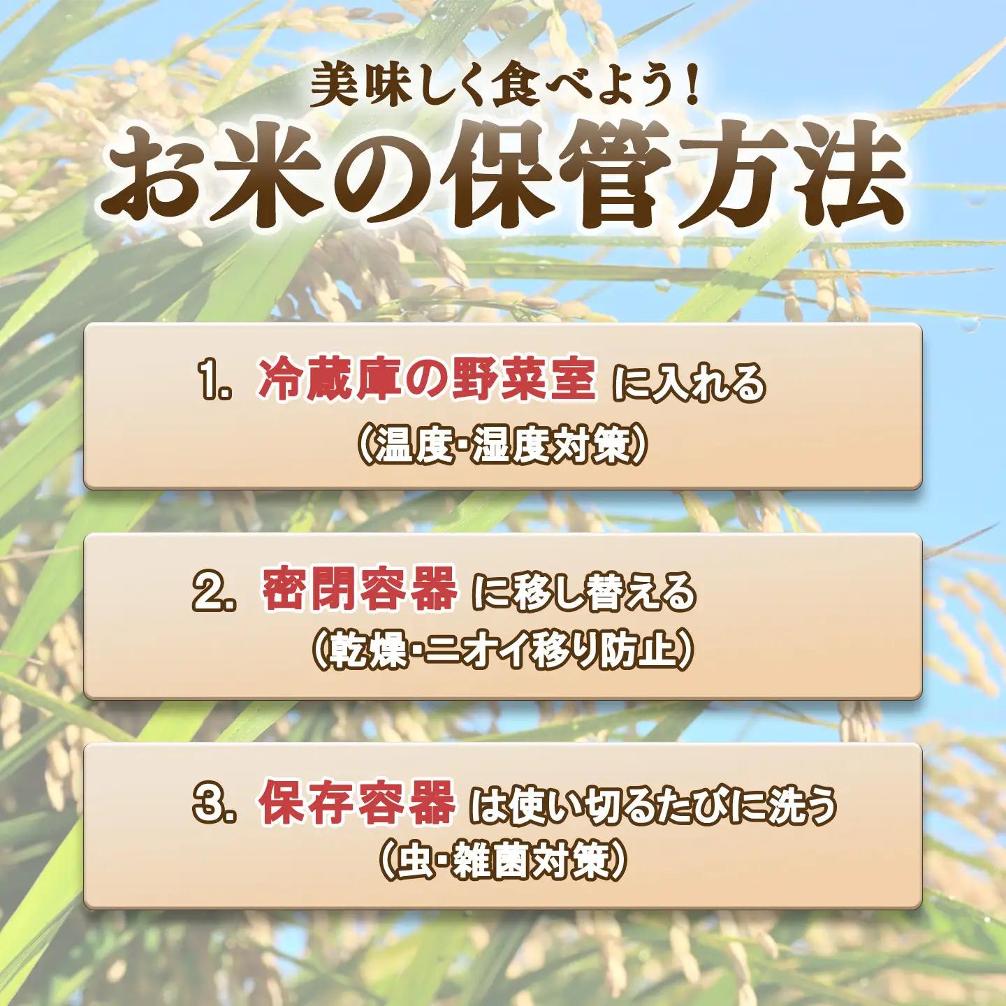 【 3ヵ月 定期便 】 米 令和8年産 コシヒカリ 15kg 玄米 こしひかり