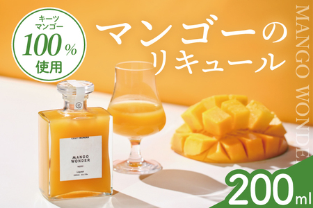 マンゴー リキュール 「MANGO WONDER 002」1本｜お酒 フルーツ 沖縄県 豊見城市(DT002)
