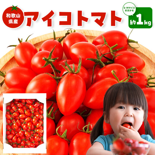 ［2026年5月出荷分］和歌山産ミニトマト「アイコトマト」約1kg（S・Mサイズおまかせ）［TM232］