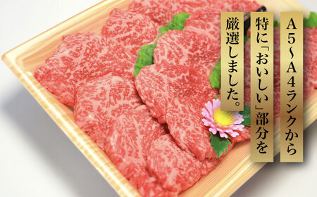 【全12回定期便】【化粧箱入】博多和牛A5-A4 モモ赤身 ミニステーキ350g ソース・塩胡椒付《豊前市》【株式会社マル五】[VCL107] ステーキ サーロインステーキ 博多和牛ステーキ 絶品ステ
