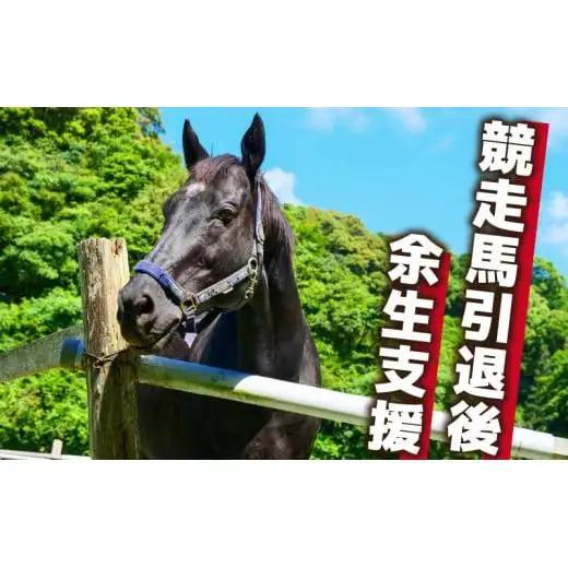 【 支援 】 支援引退馬 100万 