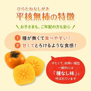 先行予約 和歌山県産 平核無柿 贈答用 赤秀 8～13玉【 柿 種無し たねなし ひらたね たねなし柿 和歌山県 九度山町】