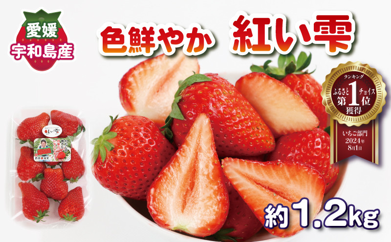 
            色鮮やか いちご 紅い雫 1.2kg ( 300g × 4パック ) 西田農園 甘い あまい 苺 イチゴ ストロベリー 旬 果物 朝食 ヨーグルト フルーツ デザート スイーツ スムージー ジャム おやつ 国産 愛媛 宇和島 F015-124002
          