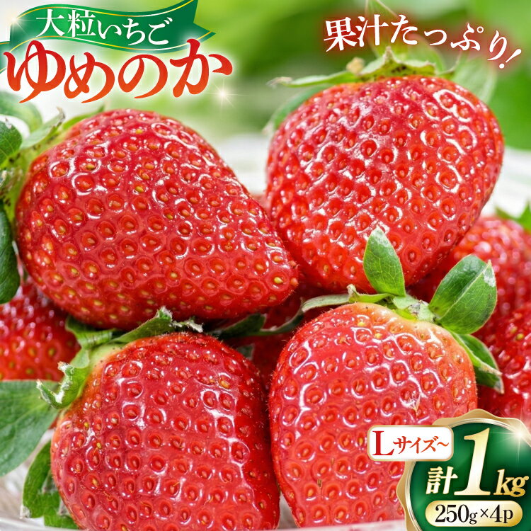 【ふるさと納税】 【期間限定発送】 いちご ゆめのか 250g × 4パック Lサイズ 以上 [ひらど新鮮市場 長崎県 平戸市 hr42bgy400008] 苺 イチゴ ストロベリー 果物 フルーツ 1kg 小分け
