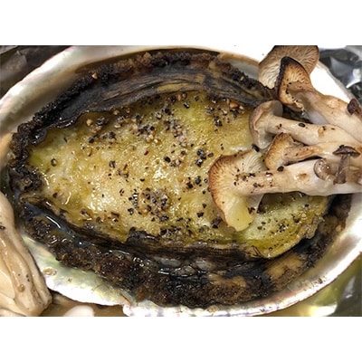 竹中水産の天然小アワビ、殻付きのままでバター焼き1.2kg前後(10〜15個目安)【H22−248】【配送不可地域：離島・北海道・沖縄県】【1073905】